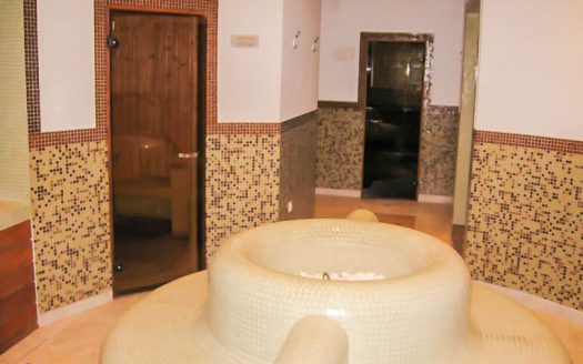 Furnished studio on Green Life