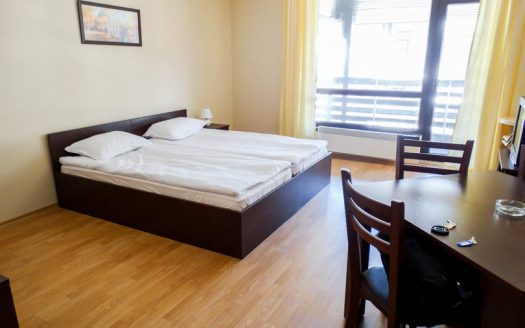 Furnished Studio on Aspen Suites