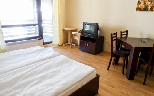 Furnished Studio on Aspen Suites