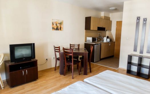 Furnished Studio on Aspen Suites