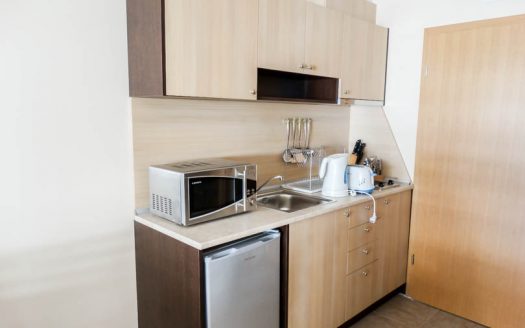 Furnished Studio on Aspen Suites