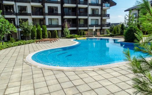 Furnished Studio on Aspen Suites