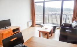 Furnished Duplex on Aspen Valley