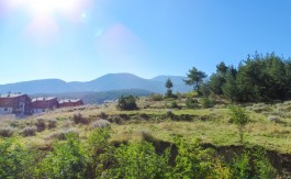 1 bed on Balkan Heights