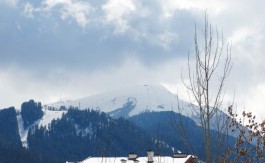 Furnished 1 bed on Cedar Lodge 1