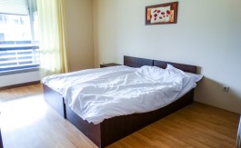 Furnished Studio on Aspen Suites