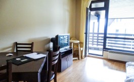 Furnished Studio on Aspen Suites