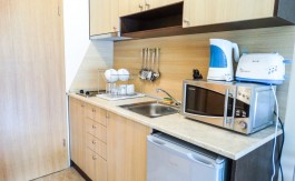 Furnished Studio on Aspen Suites