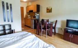 Furnished Studio on Aspen Suites