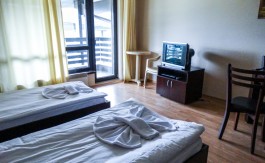 Furnished Studio on Aspen Suites