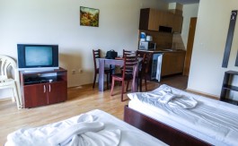 Furnished Studio on Aspen Suites