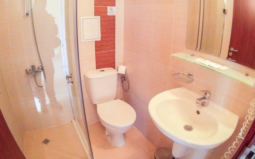 Furnished 1 bed on Belmont