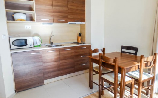 Furnished 1 bed on Belmont