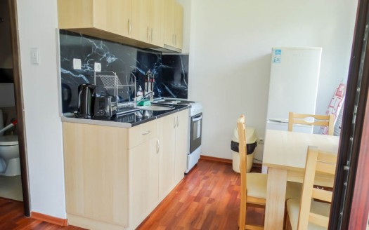 Furnished studio on Balkan Heights