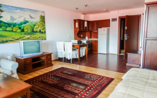 Furnished studio on Astera
