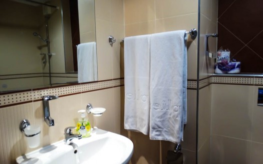 Furnished studio on Astera