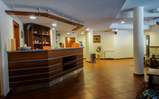 Furnished 1 bed on Vihren Residence