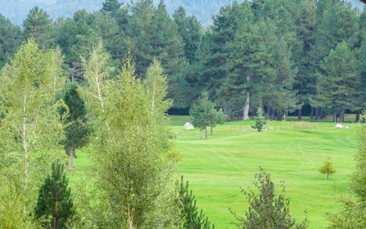 Furnished 2 bed on Aspen Golf