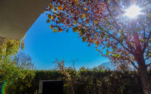 Furnished studio on Sunrise