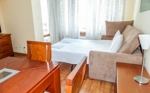 Furnished studio on Sapphire Residence
