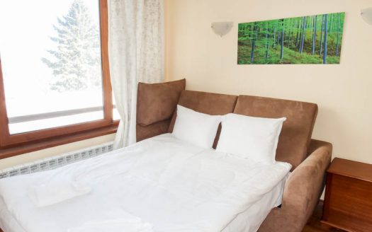 Furnished studio on Sapphire Residence