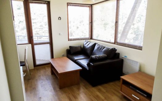 Furnished 1 bed on Pine Trees Residence