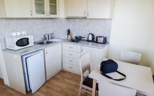 Furnished 1 bed on Pine Trees Residence