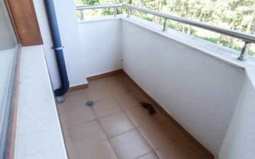 Furnished 1 bed on Pine Trees Residence