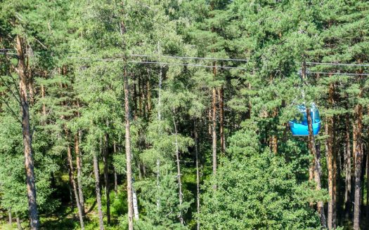 Furnished 1 bed on Pine Trees Residence