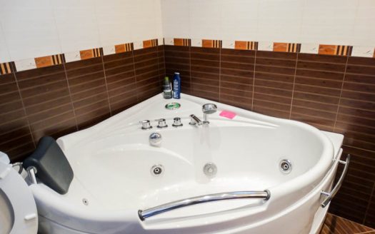 Luxury 3 bed house in Razlog