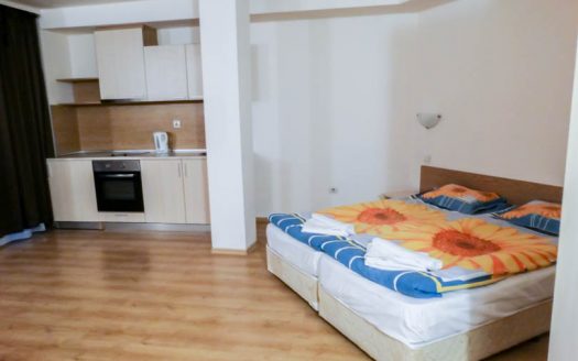 Furnished spacious studio on Adeona