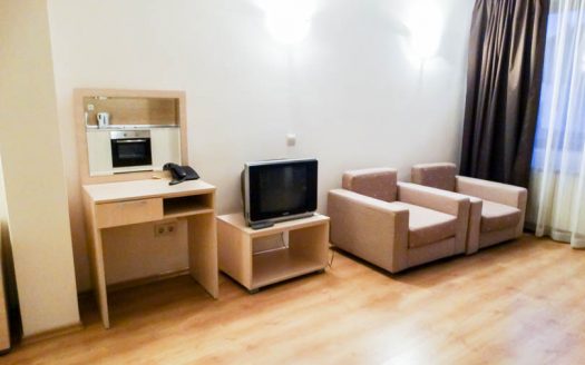Furnished spacious studio on Adeona