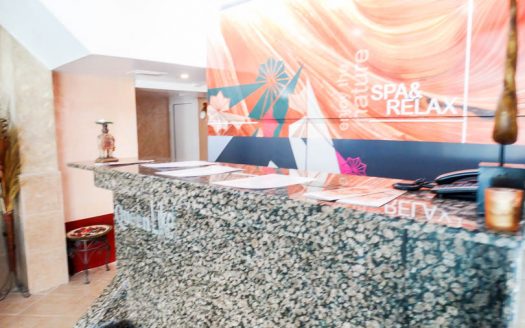 Furnished studio on MPM Hotel Guinness