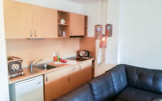 Furnished studio on Four Leaf Clover