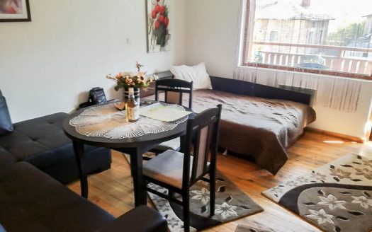 Furnished studio on Four Leaf Clover