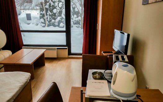 Furnished studio on Aspen Suites