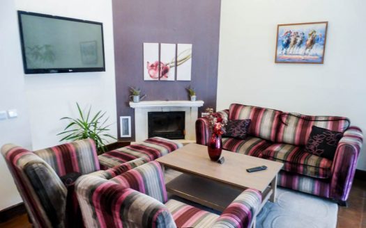 Furnished studio on Predela 2