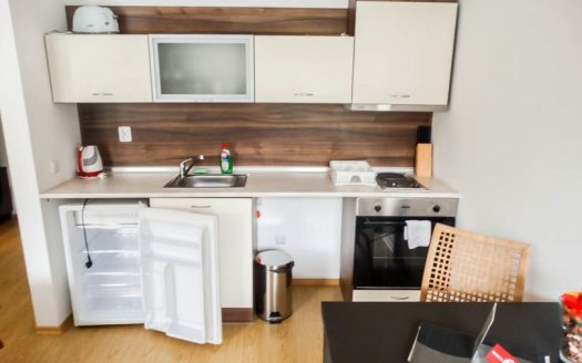 Furnished studio on Predela 2