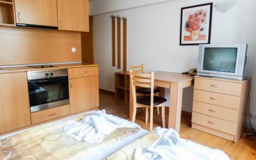 Furnished studio on Four leaf Clover