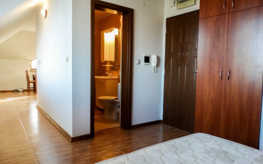 Furnished Penthouse 1 bed on Efir