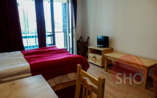 Furnished studio on Aspen Heights