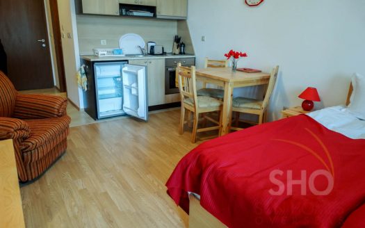 Furnished studio on Aspen Heights
