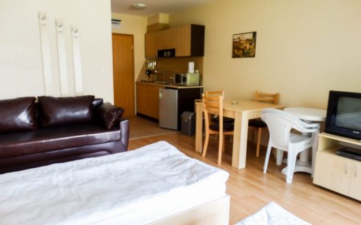 Furnished studio on Aspen Suites