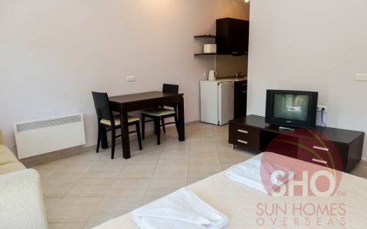 Furnished studio on Green Life