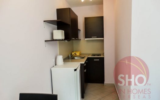 Furnished studio on Green Life