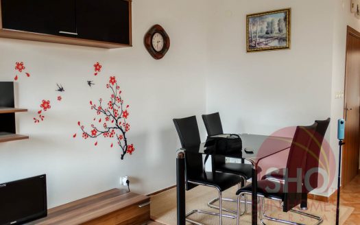 Furnished 1 bed on Prespa