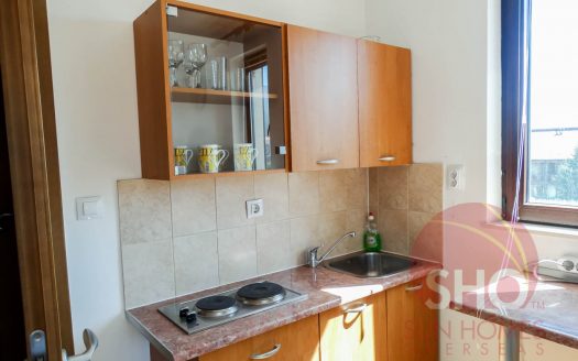 1 bed with garage on Pirin Mountain Residence