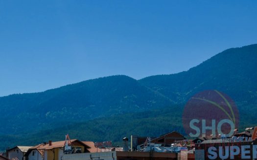 1 bed with garage on Pirin Mountain Residence