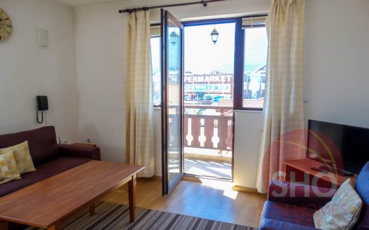 1 bed with garage on Pirin Mountain Residence