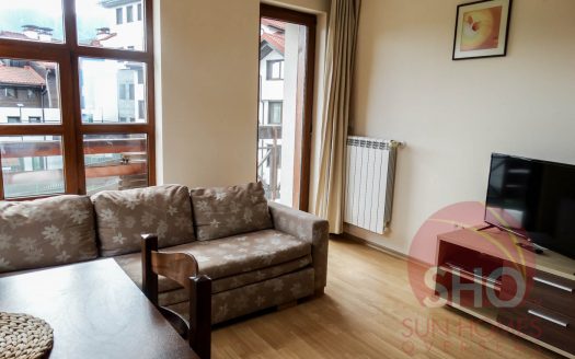 Furnished 1 bed on Belmont